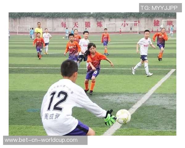 朱迪在绿茵场上的奋斗与梦想足球之路的成长与挑战