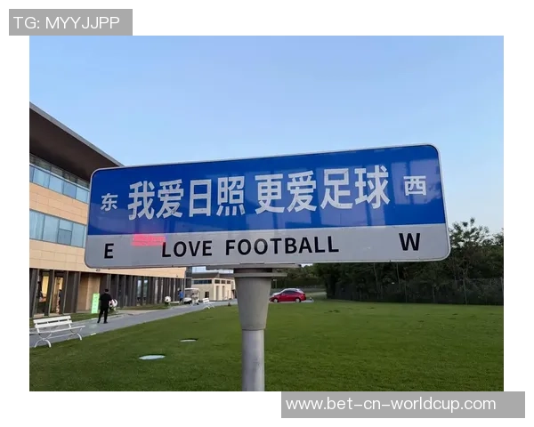 足球的魅力无穷无尽我心中最爱的运动是足球的热情与激情